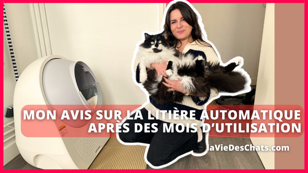 Mon avis sur la litière automatique pour chat après des mois d'utilisation