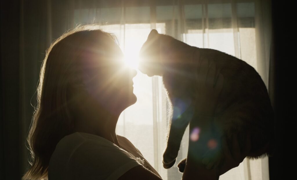 un chat reconnaît son humain juste à ses odeurs